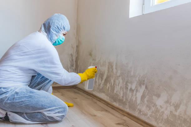 Crawl Space Mold Remediation treatment of floor joists in Derwood