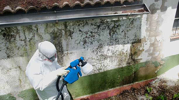 Mold Remediation service in Derwood, Derwood, MD